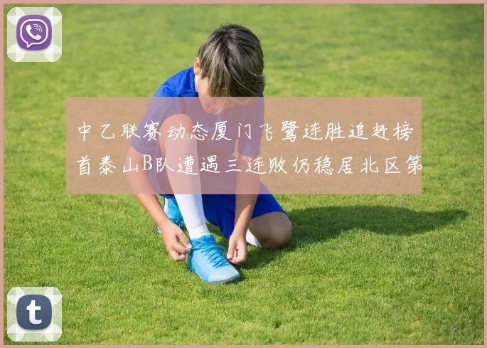 中乙联赛动态厦门飞鹭连胜追赶榜首泰山B队遭遇三连败仍稳居北区第三